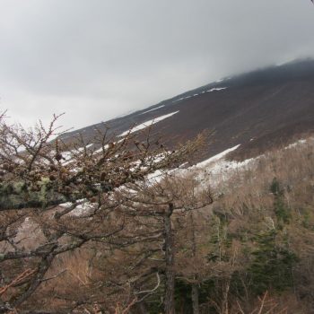 Mount Fuji